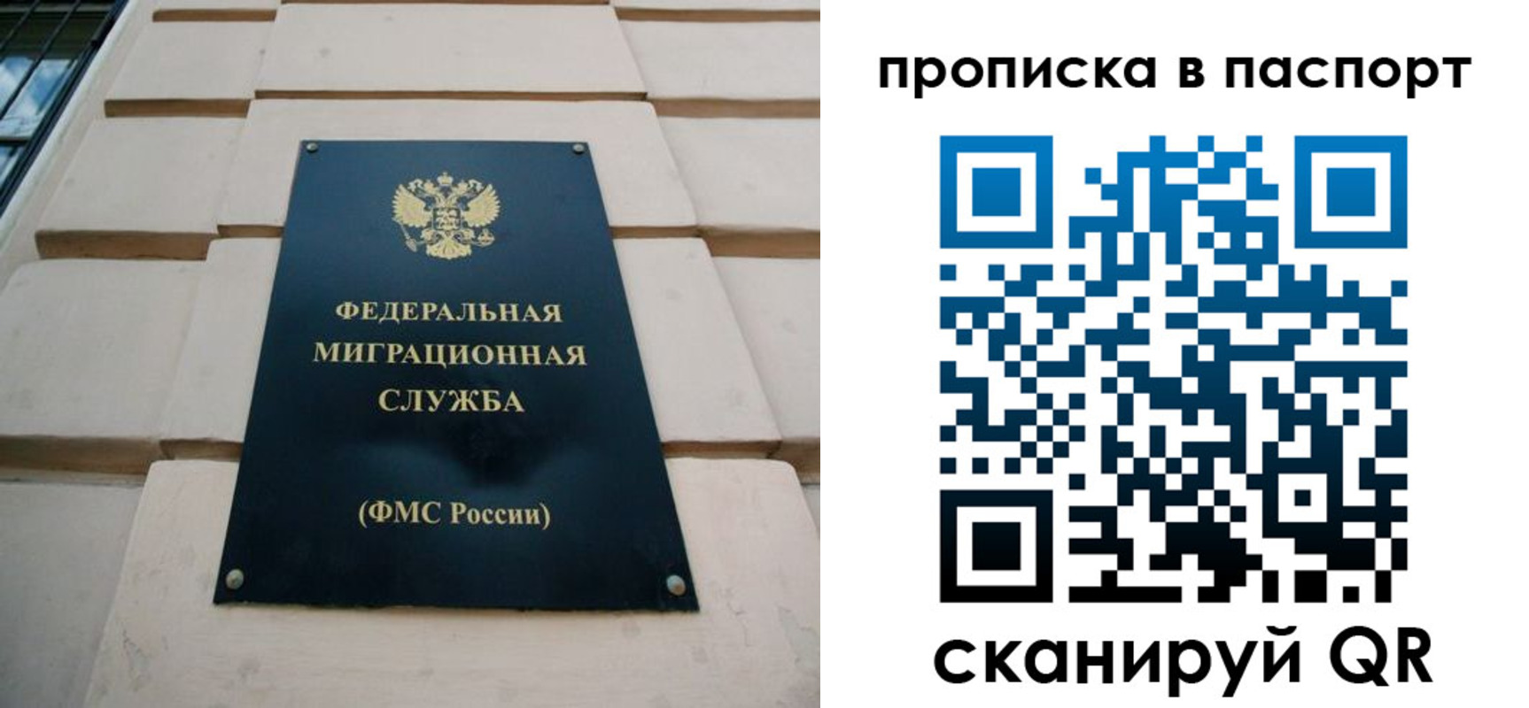 найти адрес прописки в Пересвете